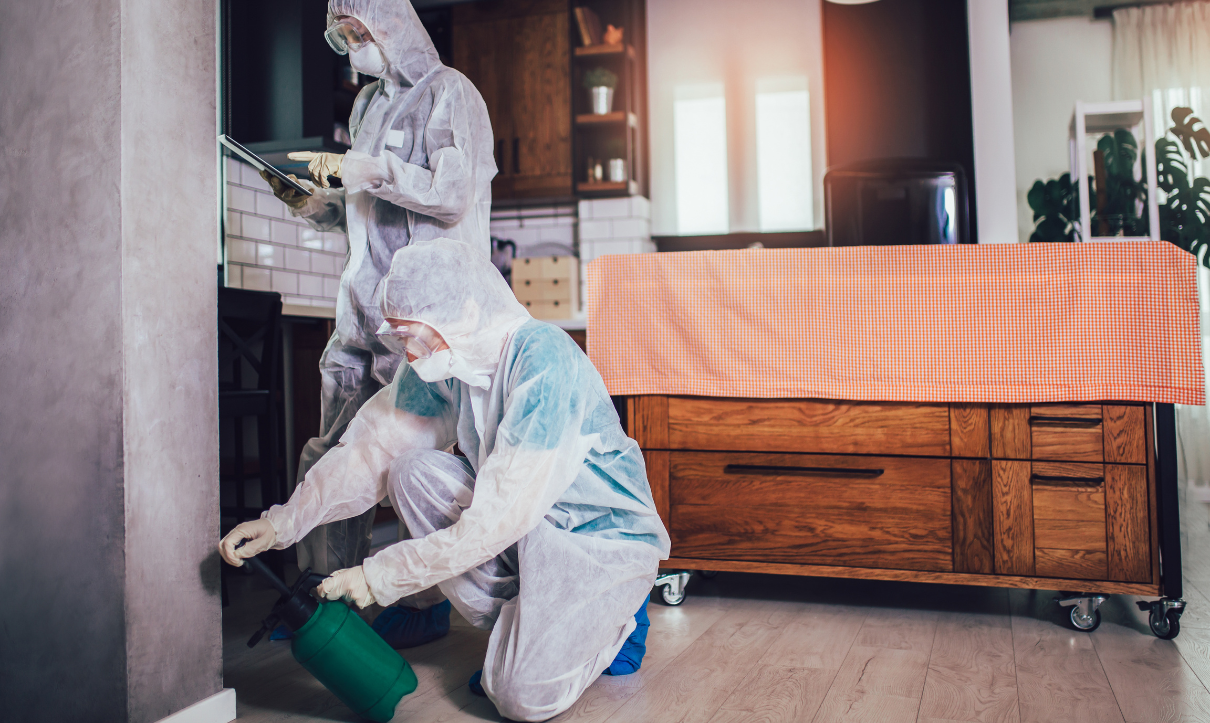 Kantikom Fumigation & Pest Control