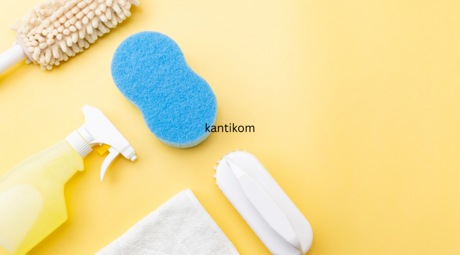 Hidden germs commonly found in homes that DIY cleaning fails to remove